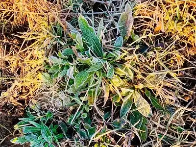 Appartement, 62,38 m²