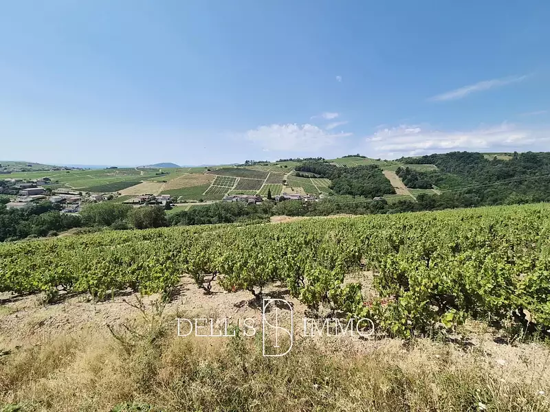 Terrain, 51 850 m²