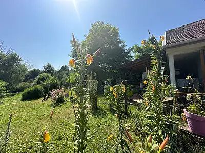 Maison, 61 m²