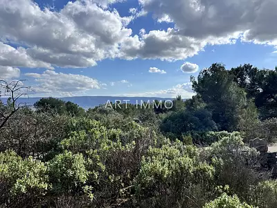 Terrain, 1 625 m²