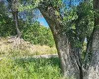 Terrain, 1 161 m²