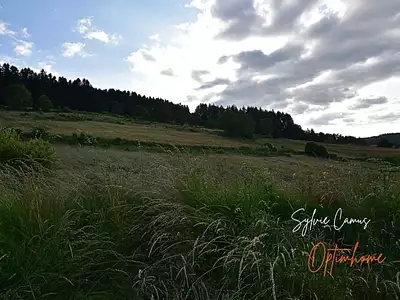 Terrain, 911 m²