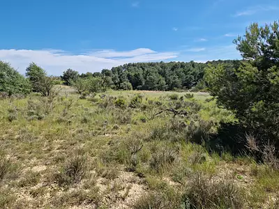 Terrain, 1 690 m²