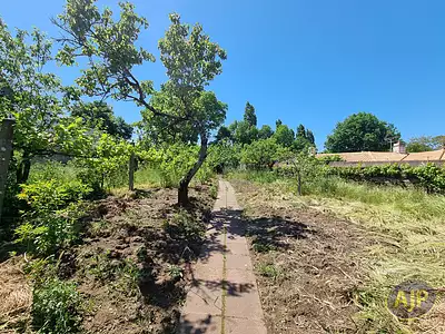 Terrain, 601 m²