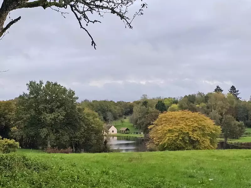 Terrain, 1 000 m²