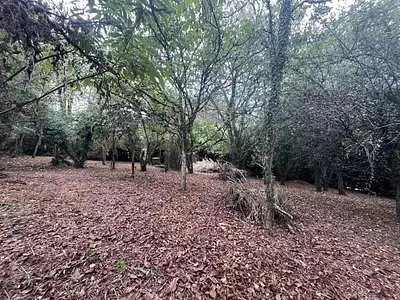 Terrain, 1 423 m²
