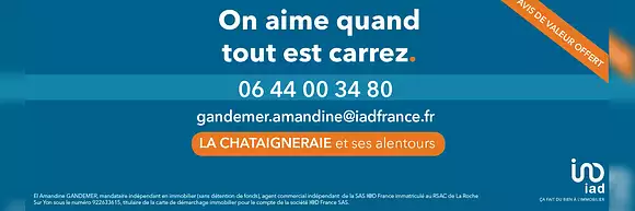 Amandine Gandemer - iad