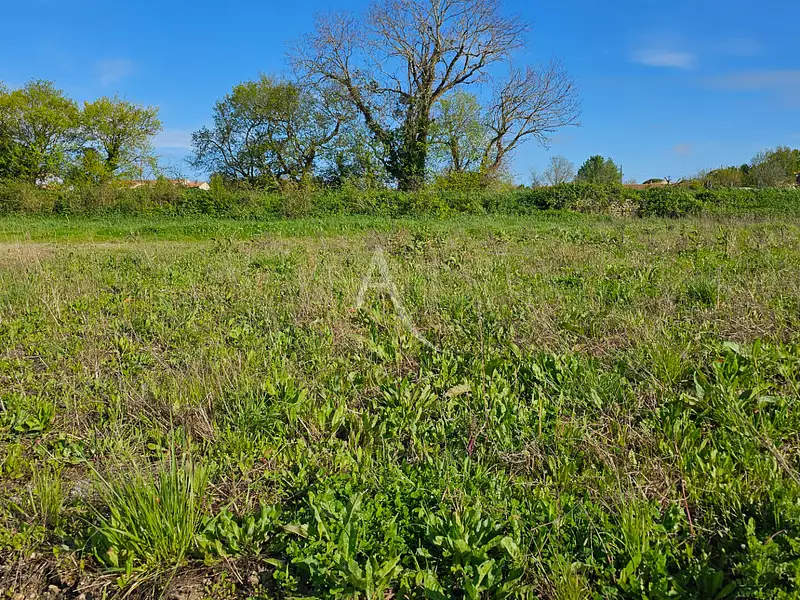 Terrain, 524 m²