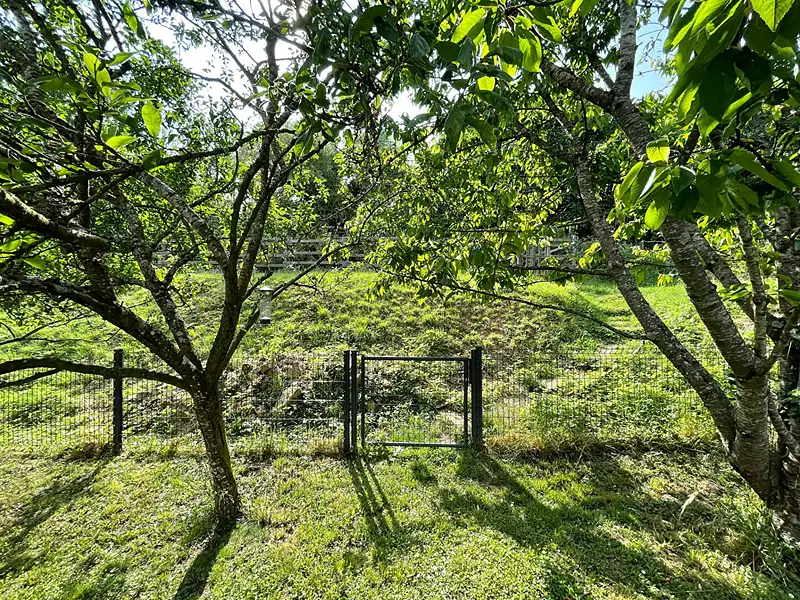 Maison, 344 m²