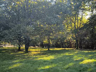 Maison, 280 m²