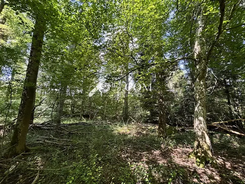 Terrain, 11 407 m²