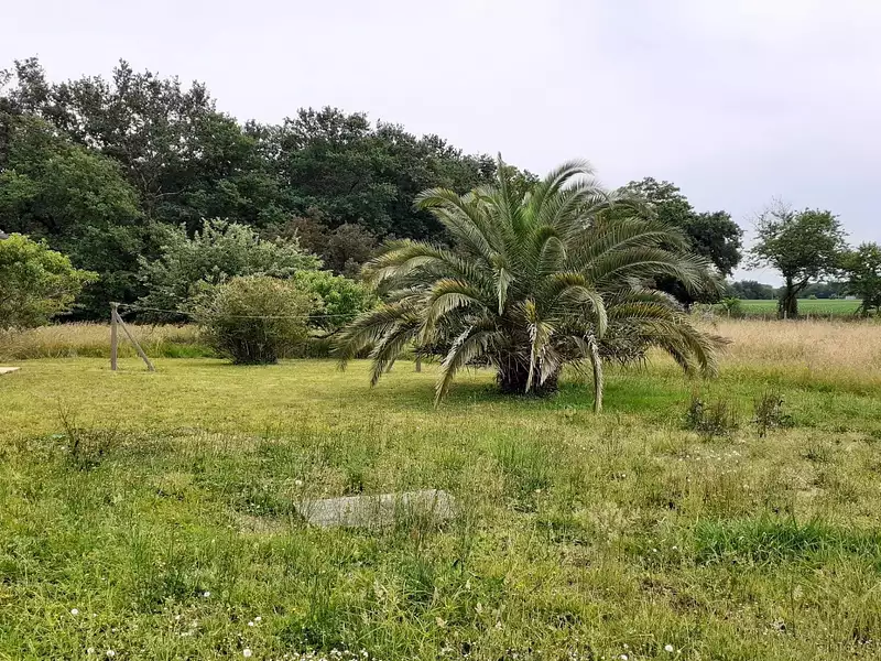 Maison, 136 m²