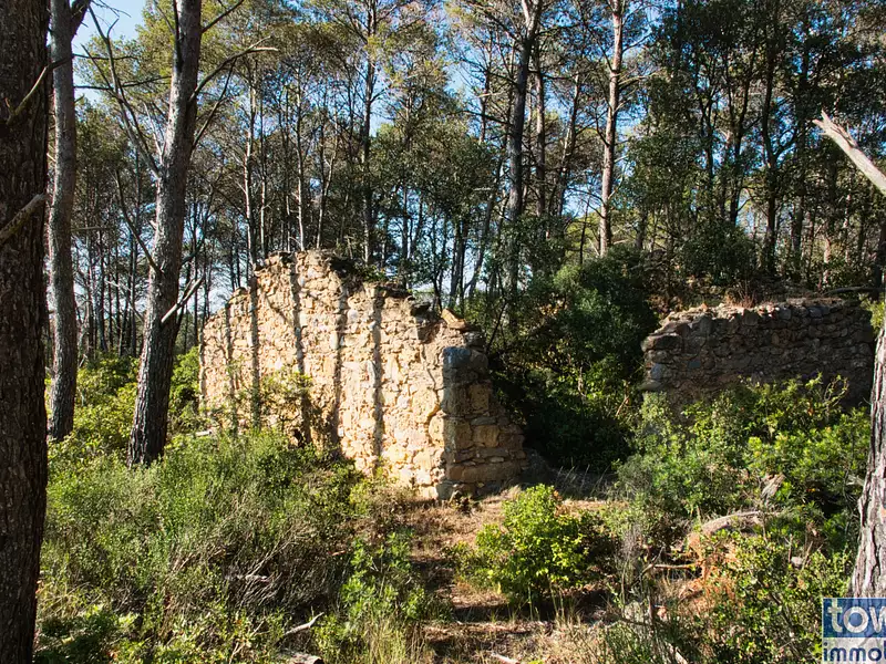 Terrain, 42 302 m²