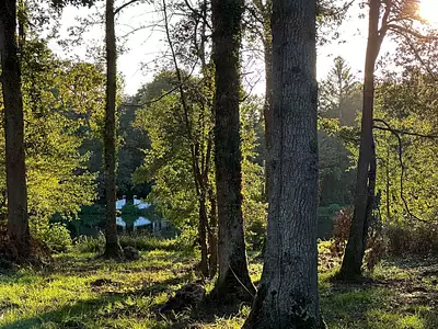 Terrain, 2 316 m²