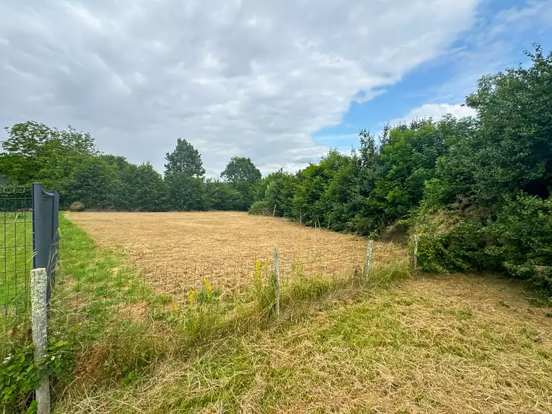Terrain, 1 350 m²