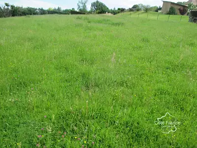 Terrain, 1 100 m²