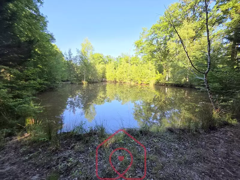 Terrain, 129 230 m²