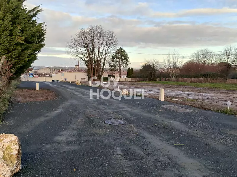 Terrain, 317 m²