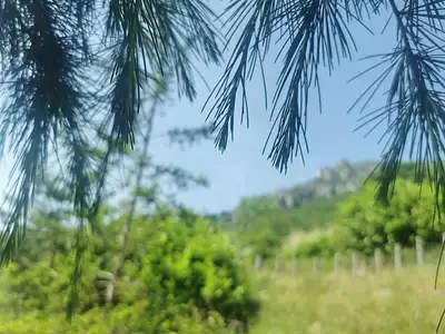 Terrain, 1 019 m²