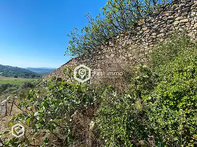 Terrain, 1 319 m²