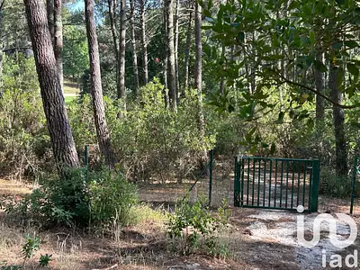 Maison, 42 m²