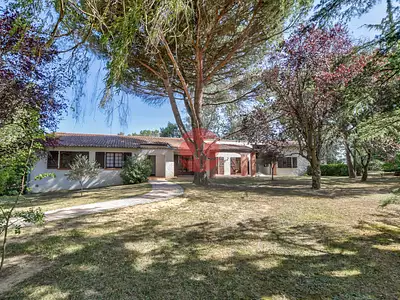 Maison, 246,41 m²