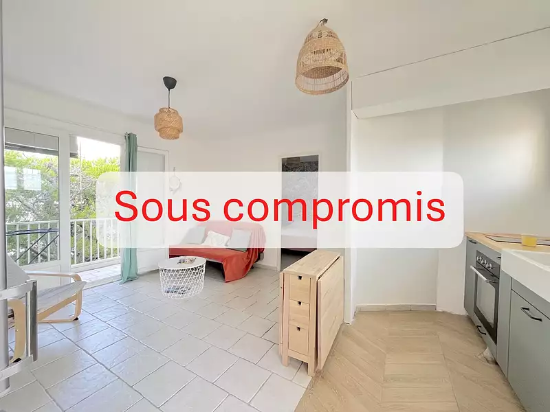 Appartement, 44,16 m²