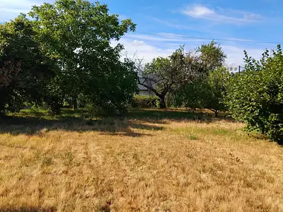 Terrain, 990 m²