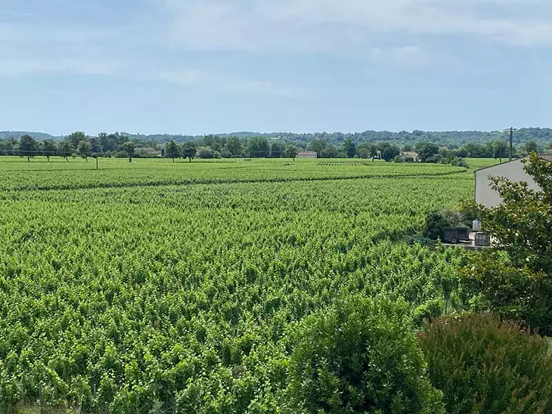 Maison, 280 m²