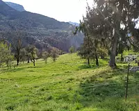 Terrain, 667 m²