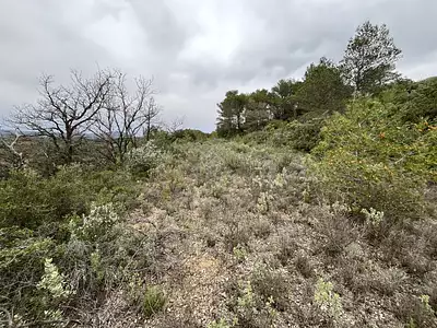 Terrain, 9 590 m²