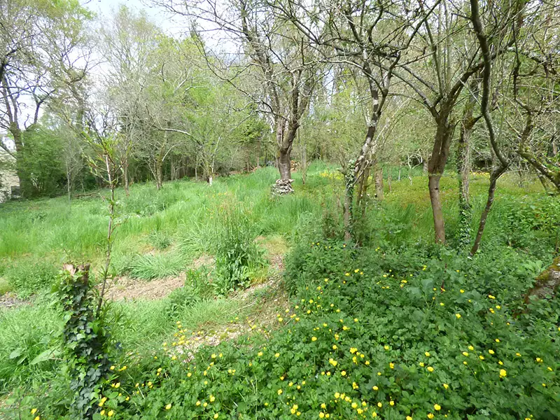 Terrain, 2 130 m²