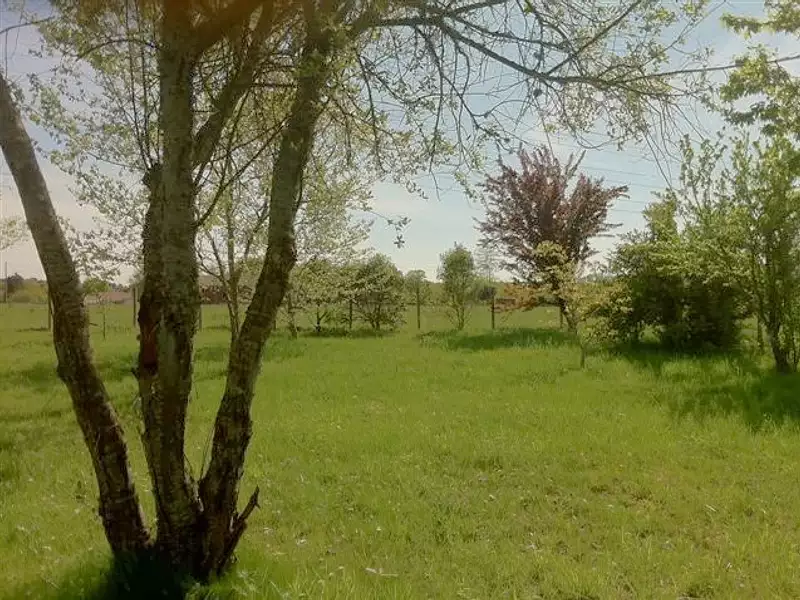 Maison, 210 m²