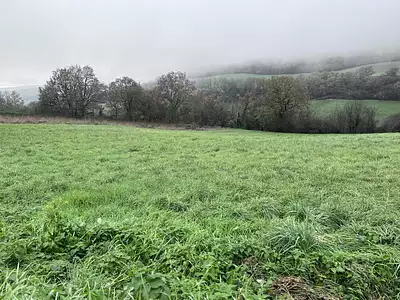 Terrain, 2 000 m²