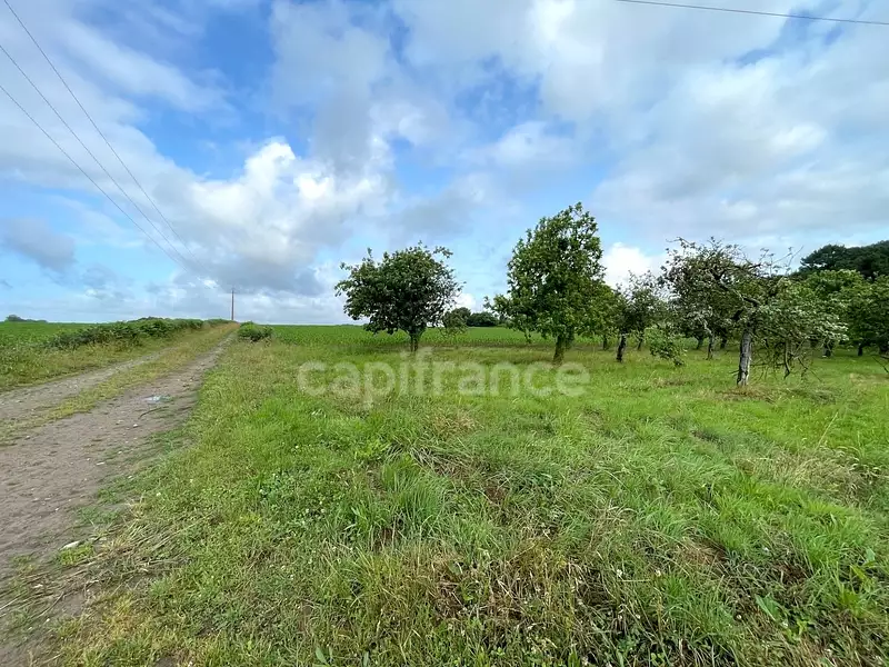 Terrain, 12 510 m²