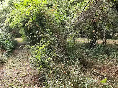 Terrain, 8 940 m²