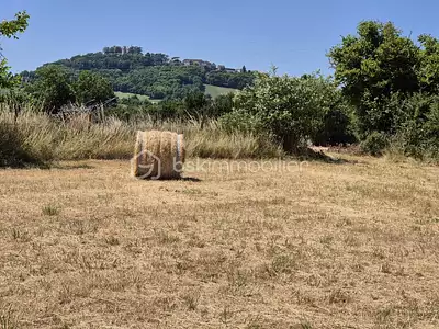 Terrain, 4 448 m²