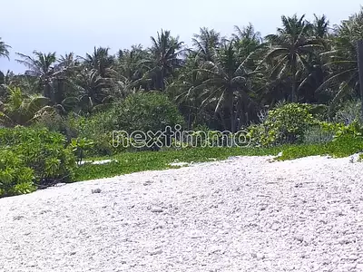 Terrain, 49 280 m²