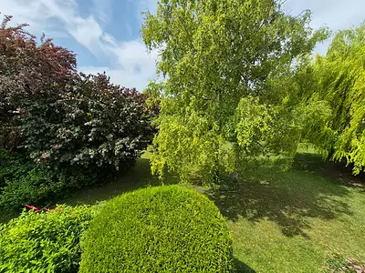 Maison, 177 m²