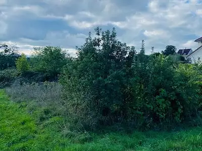 Terrain, 1 411 m²