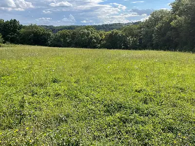 Terrain, 2 261 m²
