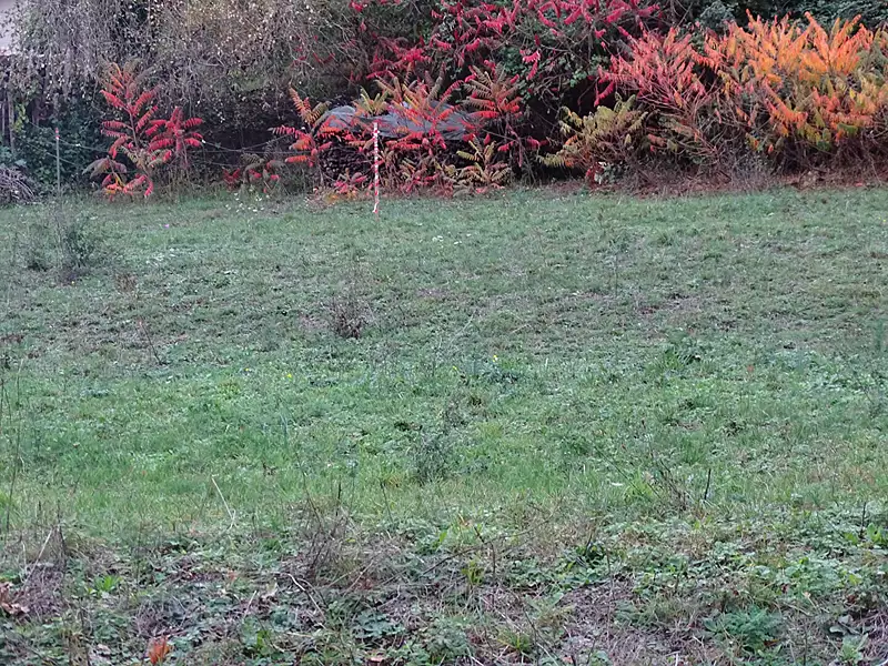 Terrain, 700 m²