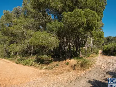 Terrain, 42 302 m²