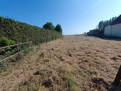 Terrain