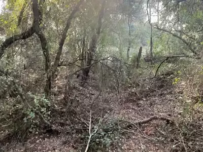 Terrain, 10 302 m²