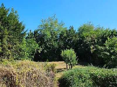 Maison, 85 m²