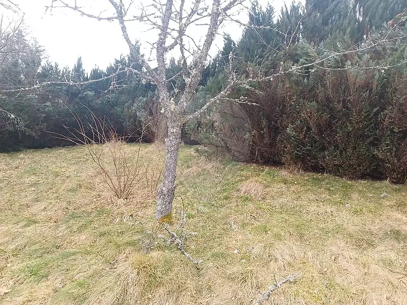 Terrain, 822 m²