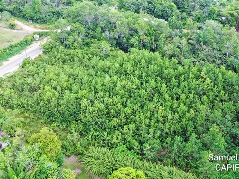 Terrain, 15 000 m²
