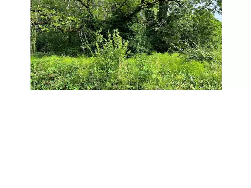 Terrain, 3 500 m²