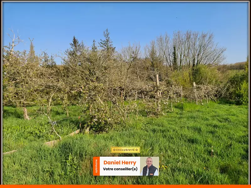 Terrain, 3 650 m²